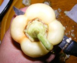 Lecsó - Vágd le a paprika talpát!