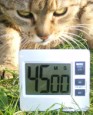 Sör-rolád - Állítsd be az időzítőórát 45 percre!