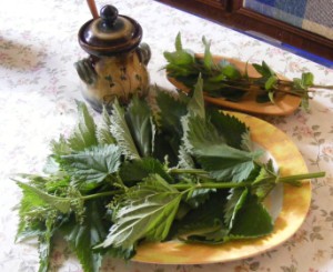 Csalán-menta tea - Hozzávalók