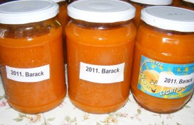 Baracklekvár - Üvegek felcímkézve.