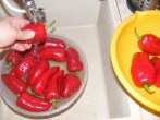Darált paprika - Mosd meg a paprikákat a csapnál!
