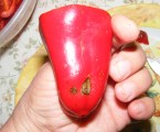 Darált paprika - Hiba a paprikán.