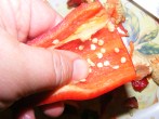 Darált paprika - Kézzel kotord ki a magokat a paprikából!