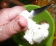 Karfiolleves - Szeleteld fel lapokra a kettéhasított tönköt!