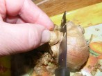 Kínai kaja - Vágd le a kis göböket a gyömbérdarabról!