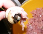 Töltött káposzta - A forgó hengerről is szedd le a húsfoszlányokat!