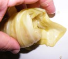 Töltött káposzta - A töltelék oldalról, göngyölés közben.
